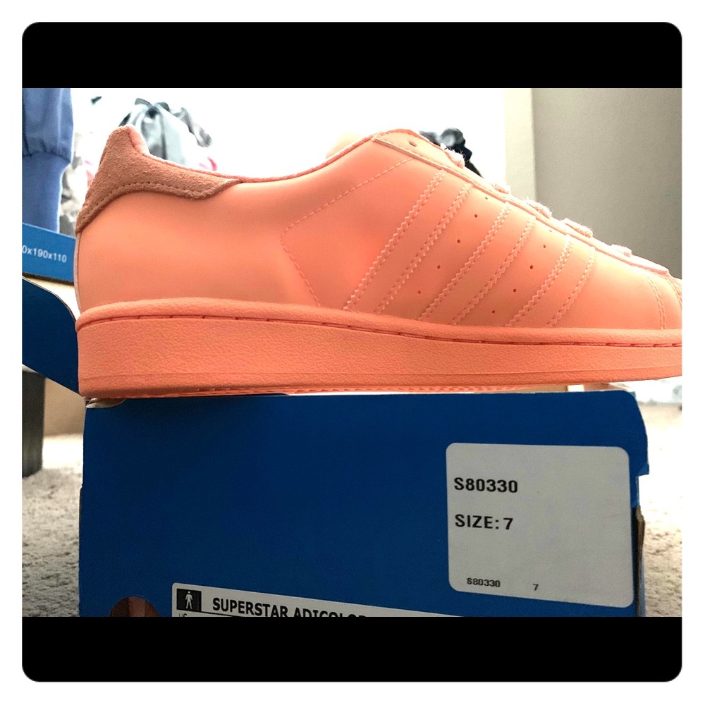 COPY - Brand New superstar adicolor  Adidas